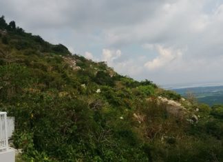 tay ninh
