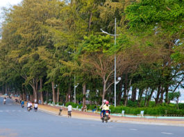 cong vien ghe da