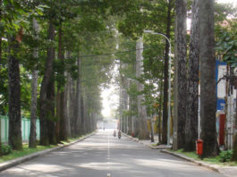 duong pho sai gon