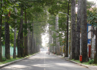 duong pho sai gon